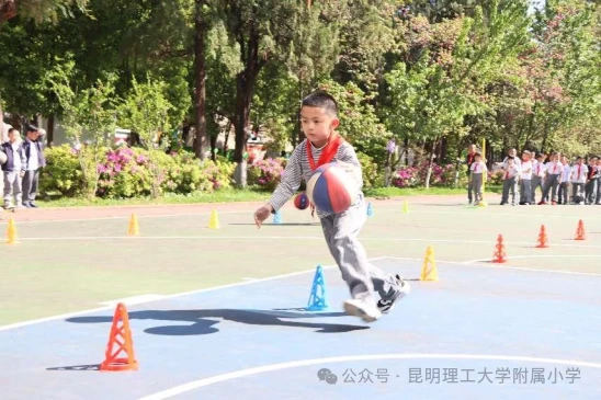 篮球一周的训练计划怎么写_0